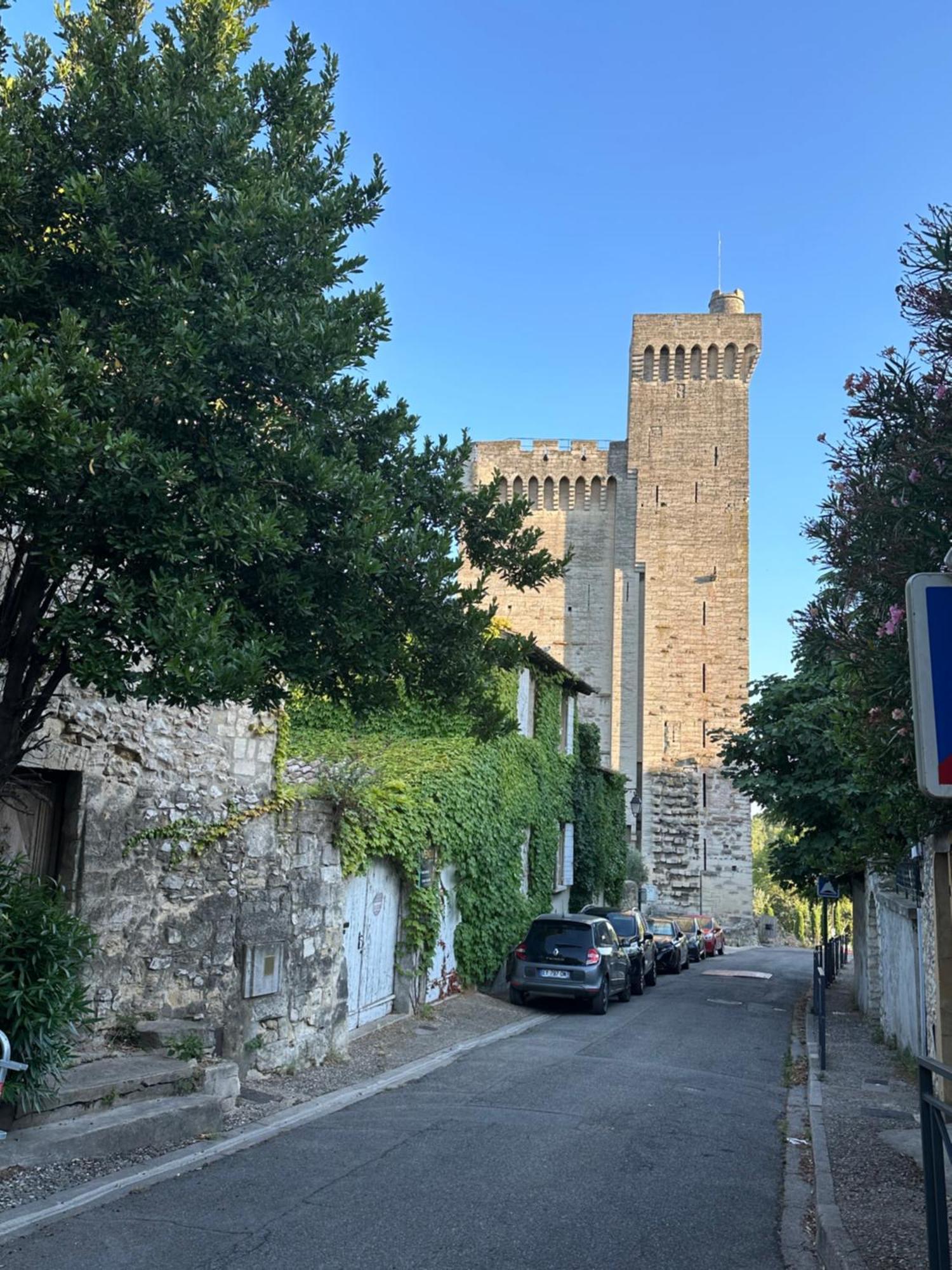 Charmante Petite Maison Avec Vue Panoramique, En Centre Historique, Proche D'Avignon, Ancienne, Renovee, Climatisee, Terrasse, Parking Public Gratuit Villeneuve-lès-Avignon Extérieur photo