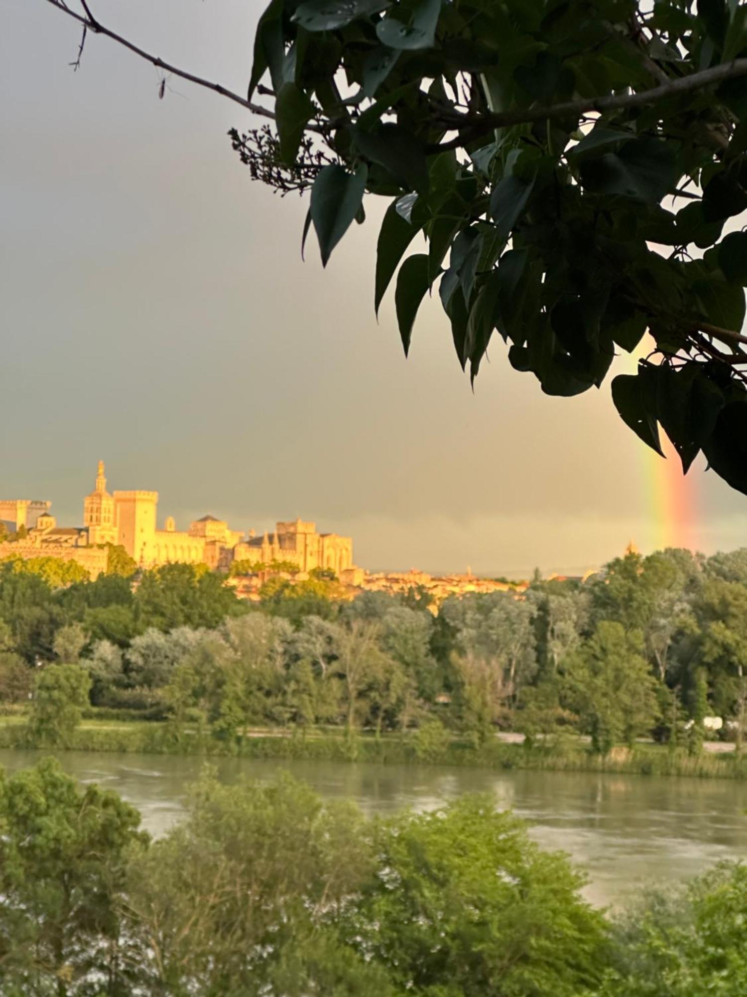 Charmante Petite Maison Avec Vue Panoramique, En Centre Historique, Proche D'Avignon, Ancienne, Renovee, Climatisee, Terrasse, Parking Public Gratuit Villeneuve-lès-Avignon Extérieur photo